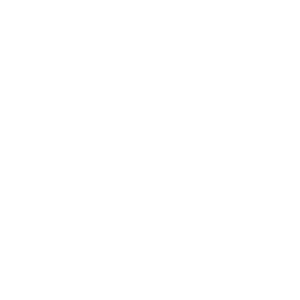 ZelStudio – Software and AI development